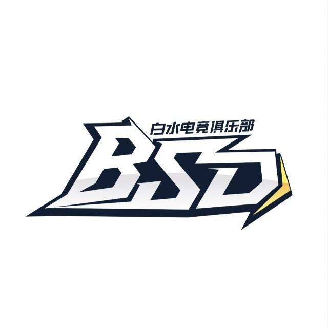 白水电竞